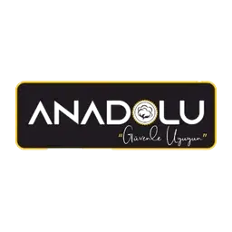 Asil Patent müvekkili — Anadolu